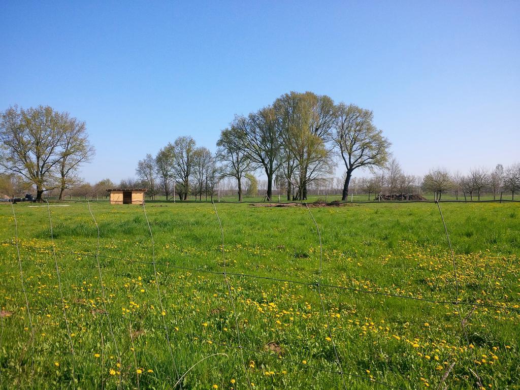 Ferienhof Idyll Am Kleinen Fliess Burg  Bagian luar foto