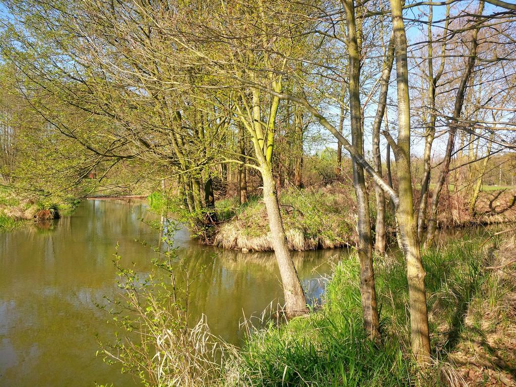 Ferienhof Idyll Am Kleinen Fliess Burg  Bagian luar foto