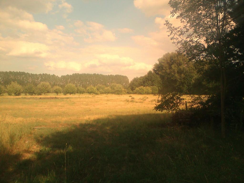 Ferienhof Idyll Am Kleinen Fliess Burg  Bagian luar foto