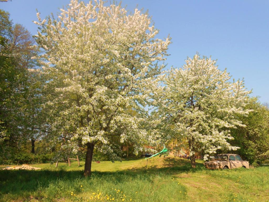 Ferienhof Idyll Am Kleinen Fliess Burg  Bagian luar foto